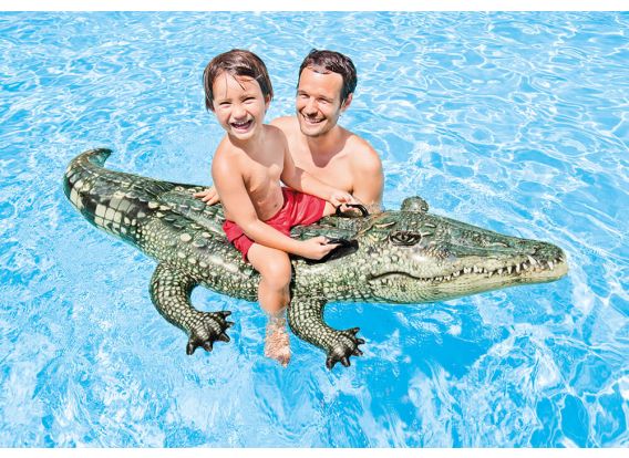 Realistische krokodil 