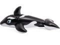 Opblaasbare walvis groot model